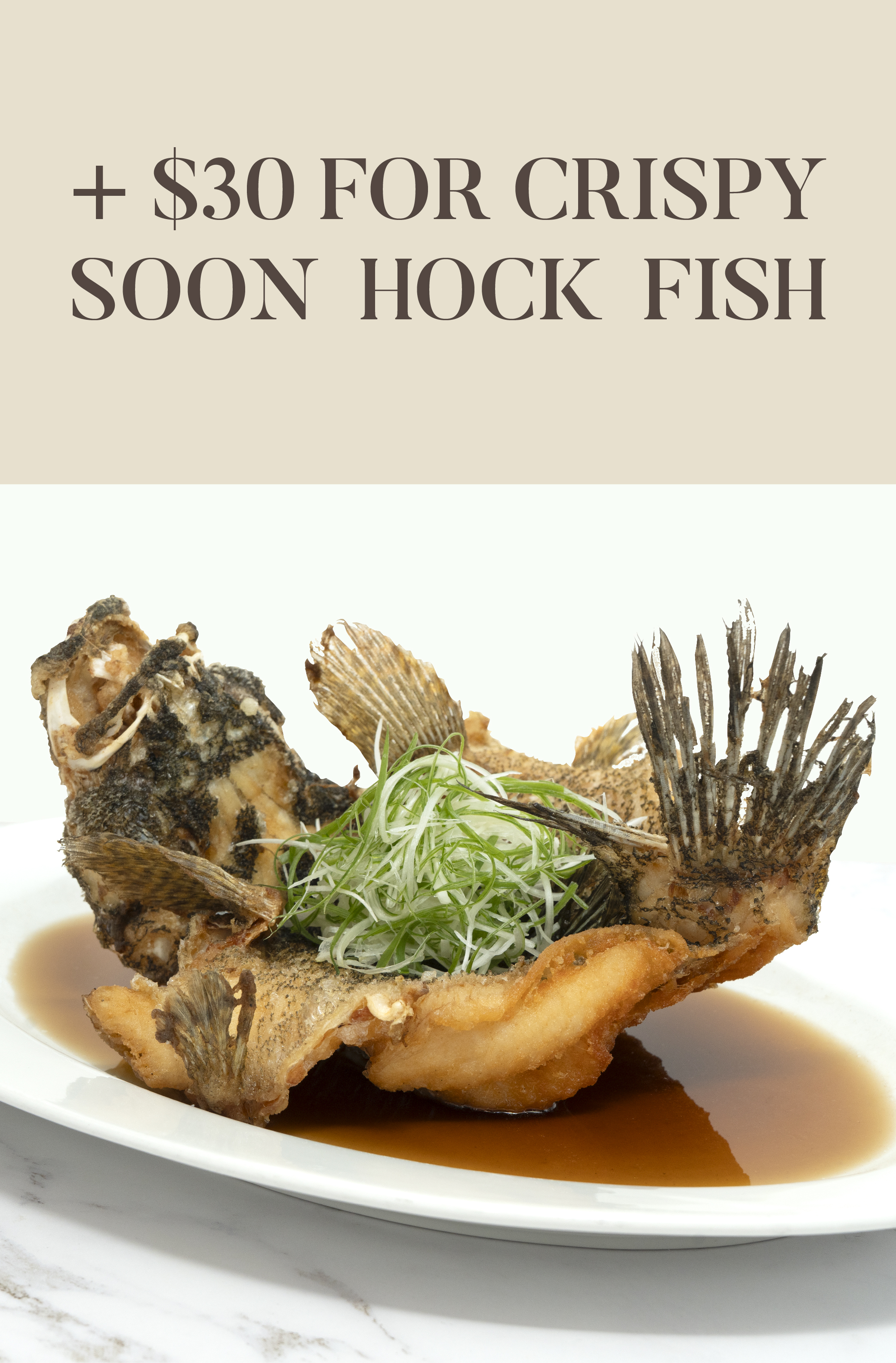 FREE CRISPY SOON HOCK FISH